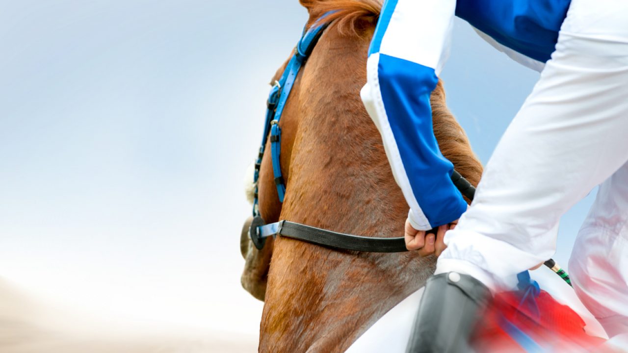 Få på reglerne hestevæddeløb inden går igang | hyggespil-online.dk